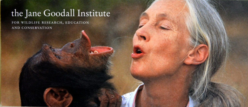 The Jane Goodall Institute for wildlife research, education and conversation